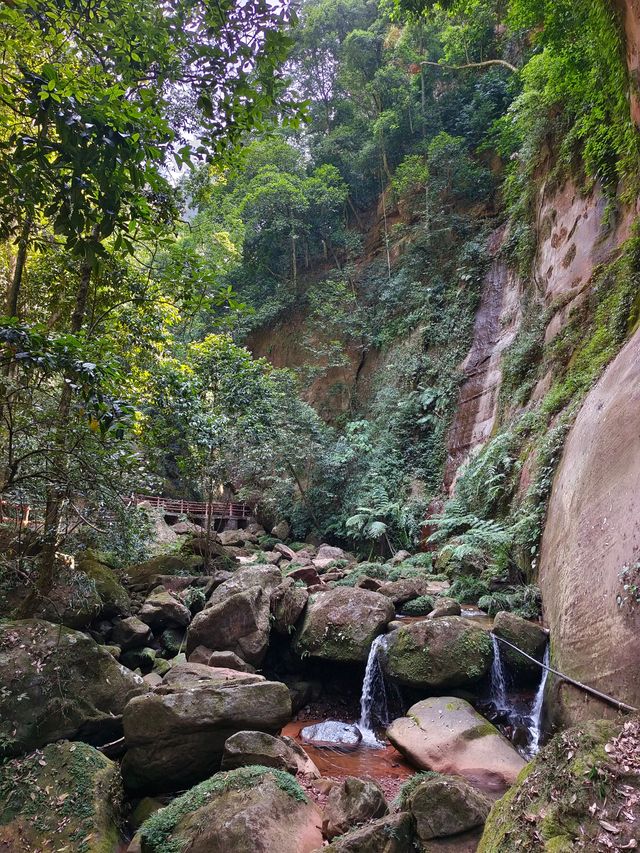 赤水佛光岩景區。