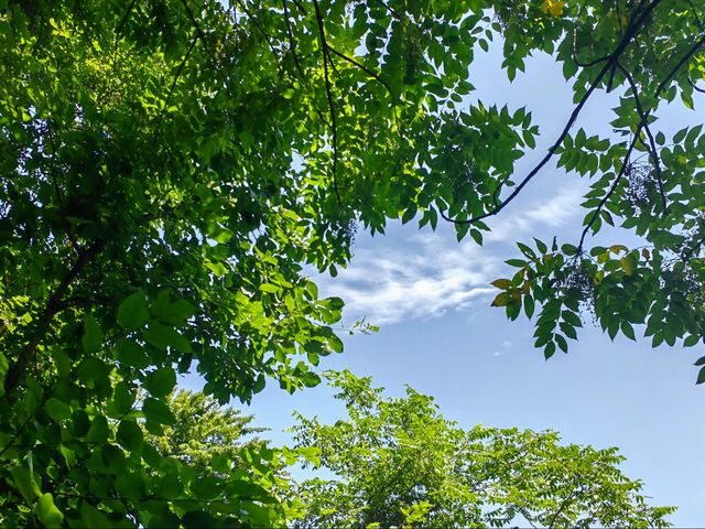 山西翠峰山——在這裡觀雲海、看日出，奇妙絕倫。