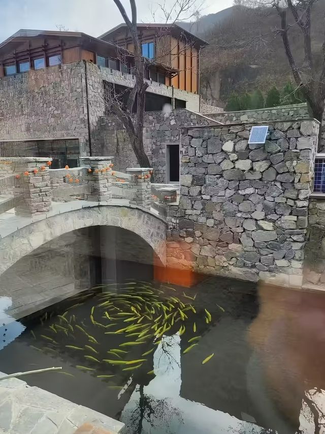 感受鄉野寧靜,來北京隱北·達摩民宿!