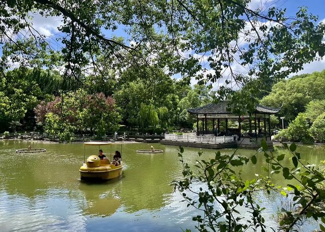 台風「貝碧嘉」過後遊覽川沙公園。 台風「貝碧嘉」過後遊覽川沙公園。