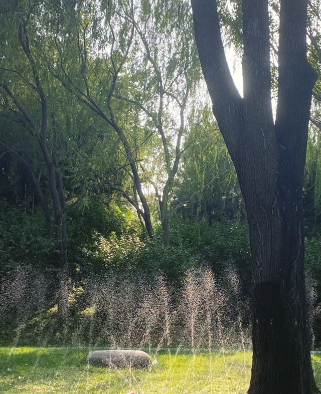 在北京，9月必到的小眾公園,絕對不能錯過!景色優美:大片翠綠稻浪,襯托著遠古白塔,人煙稀少:可以盡情拍攝。