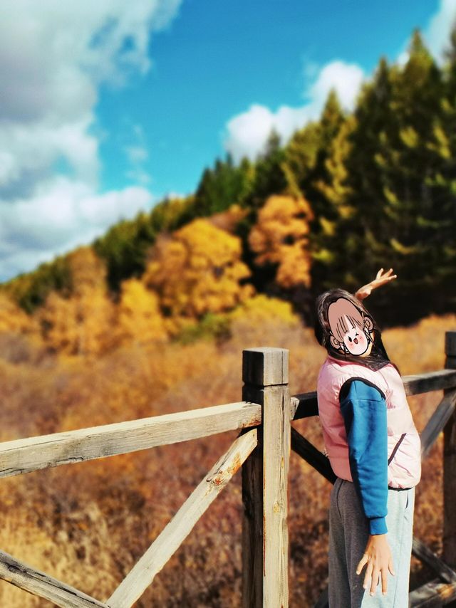 翠雲山森林公園嘅秋天，真係太靚啦！