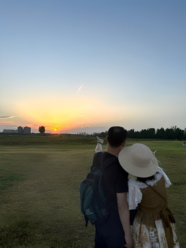 9月21日實拍西安誰還沒去這個公園看粉黛花海!。 9月21日實拍西安誰還沒去這個公園看粉黛花海!。