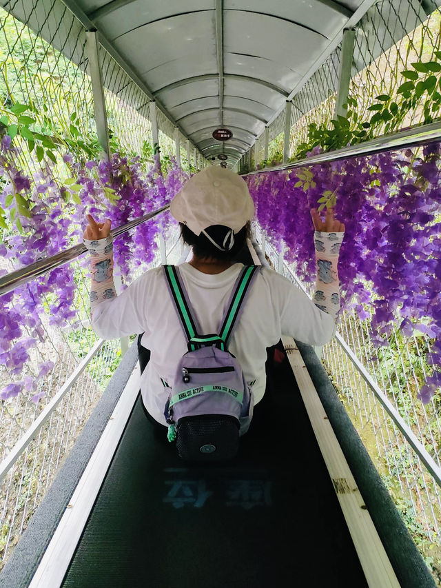 霍山旅遊風景區。