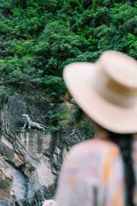 "香格里拉探險之旅  我在虎跳峽看到驚濤駭浪"。