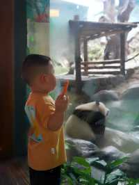 重慶自己的野生動物園您確定不帶孩子來玩嗎？。