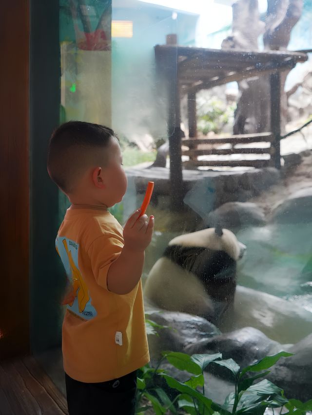 重慶自己的野生動物園您確定不帶孩子來玩嗎？。