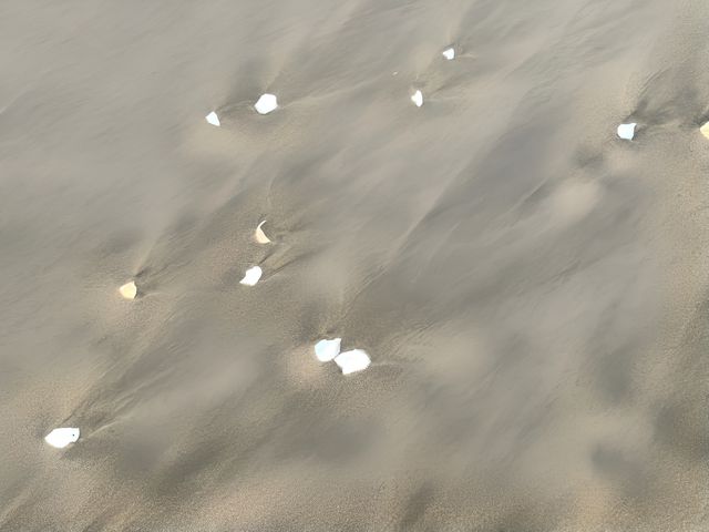 惠州。