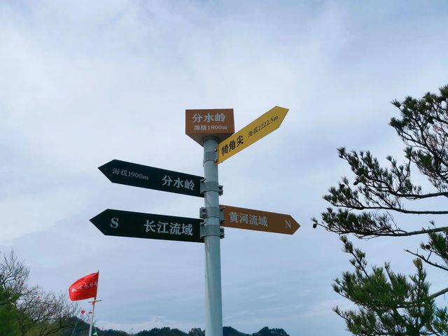 河南南陽西峽老界嶺｜一腳踏南北，一日攬華夏。