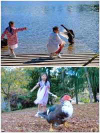 秋日推介｜新西蘭超小眾的公園。