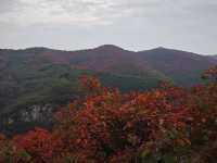 大紅寨登山賞紅葉觀賞路線與拍攝技巧全攻略。