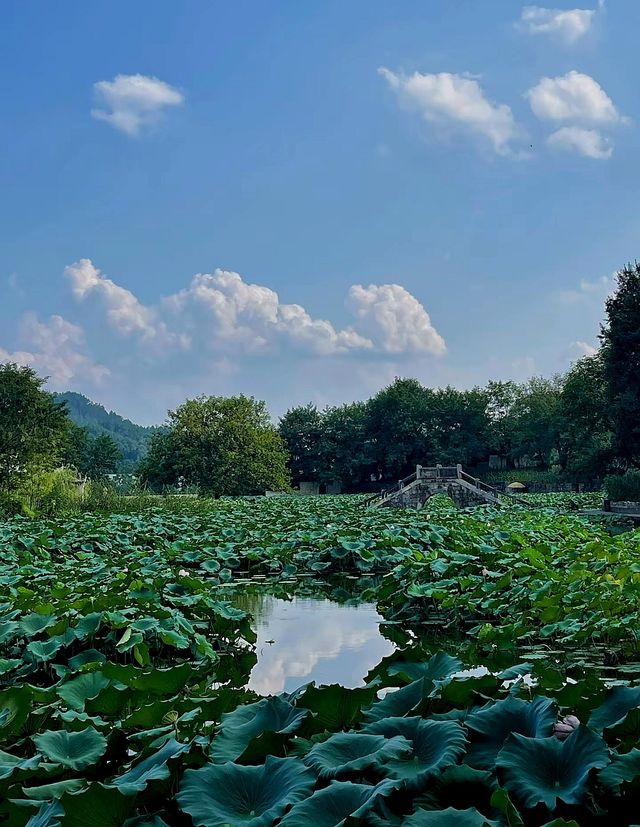 秋天旅遊推薦之呈坎。