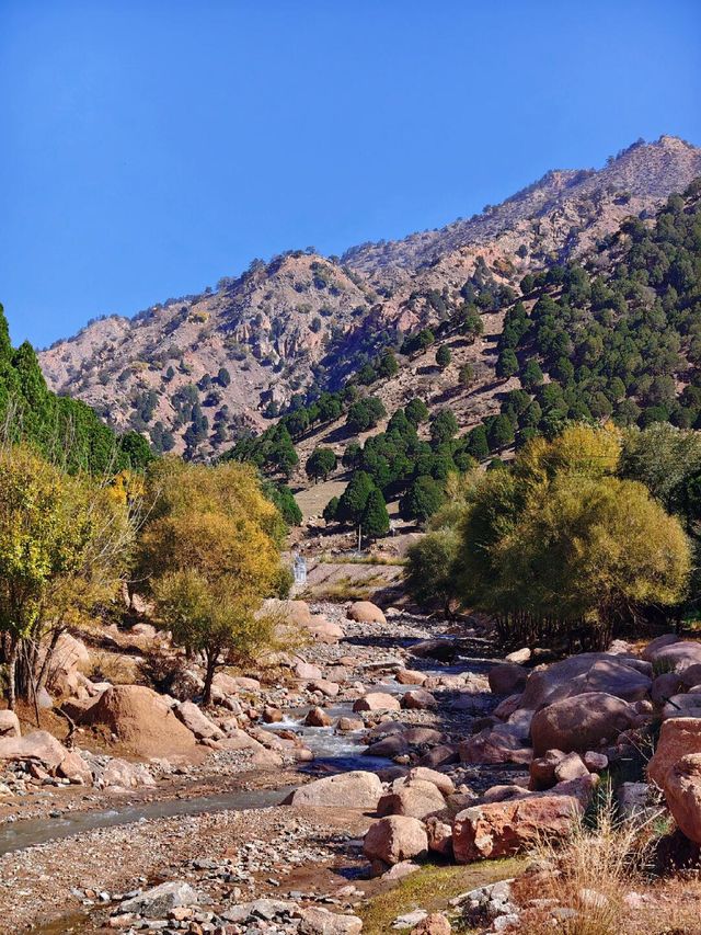 梅力更,真的是太值得一去啦!。 梅力更,真的是太值得一去啦!。