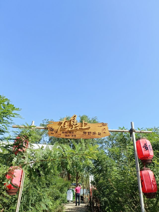 秋日逛公園之西青郊野公園。