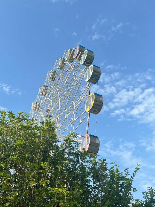Nanning Shimen Park | A forest oxygen bar in the city. 