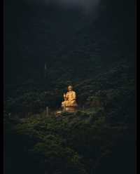 山與山不見面，再見容易，再見難。