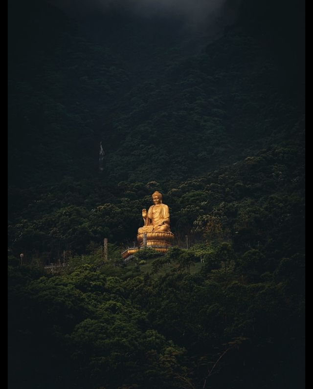 山與山不見面，再見容易，再見難。