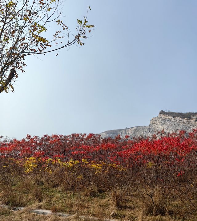 荒野紅葉，異星礦場。