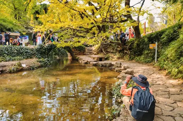 Guizhou Scenery | Start of Winter, Guizhou's Winter Scenery is Beautiful as a Painting