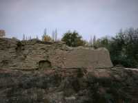 北庭西大寺遺址｜北庭高昌回鶻佛寺遺址。