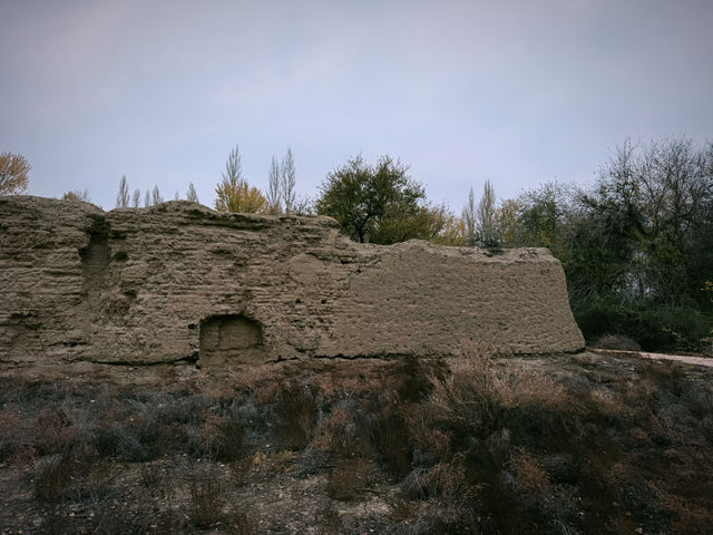 北庭西大寺遺址｜北庭高昌回鶻佛寺遺址。