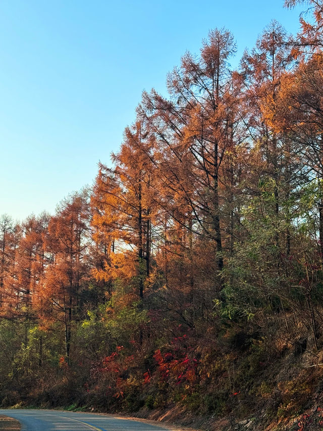 遼寧5A景區|第140站本溪五女山景區。