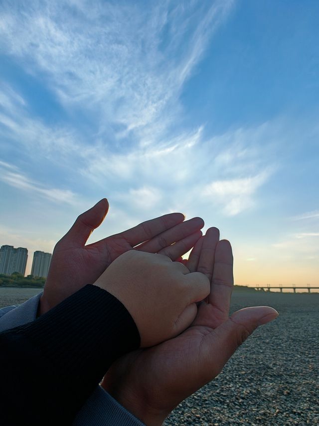 尋找城市中的秘境森林氧吧。