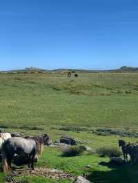 英國小鎮旅遊 | 達特福德不可錯過的3大景點 。