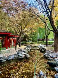 川味來襲，香滿京城。