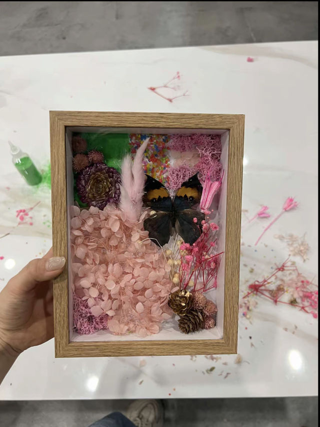 親子研學首選佛山活體昆蟲博物館。