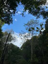 雲髻山很好，但是下次不來了，姊妹們。