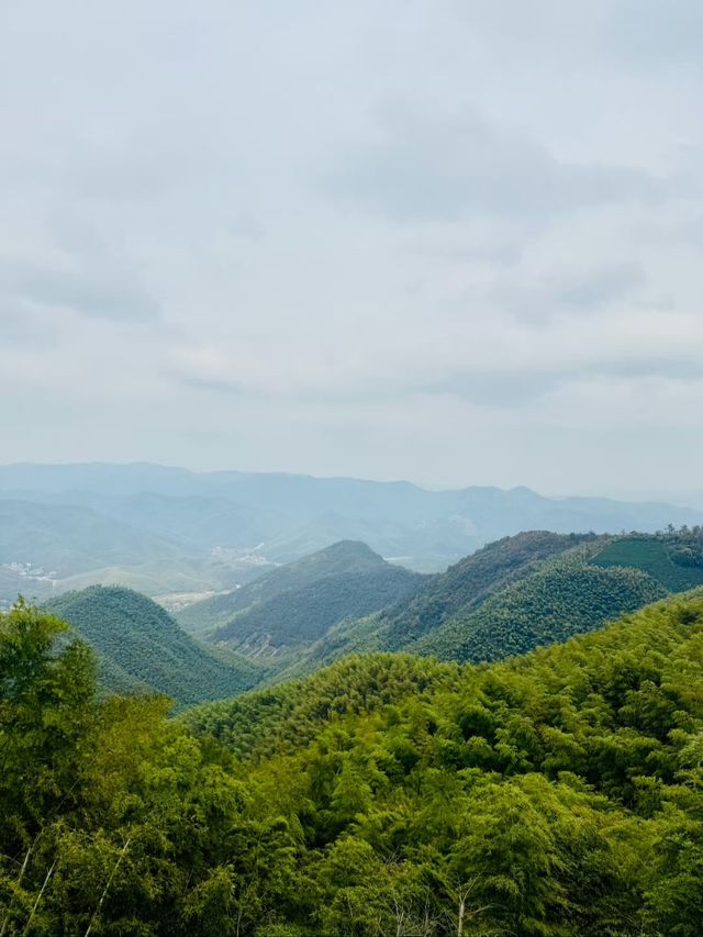 徒步莫干山，感受秋季的美麗。