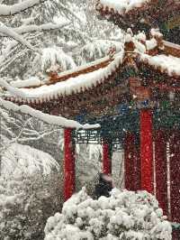 大連初雪絕美 勞動公園張張封神！