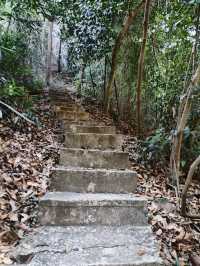 廣西桂平：龍潭國家森林公園「醉」一把氧。