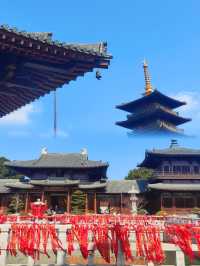 虔誠一日遊。
