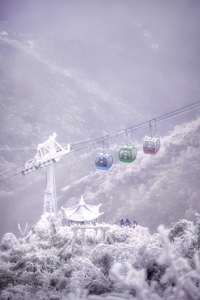 清遠｜金子山