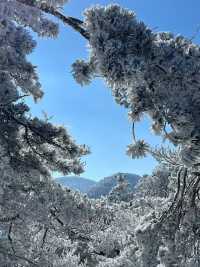 深圳出發2小時，高鐵直達看雪景