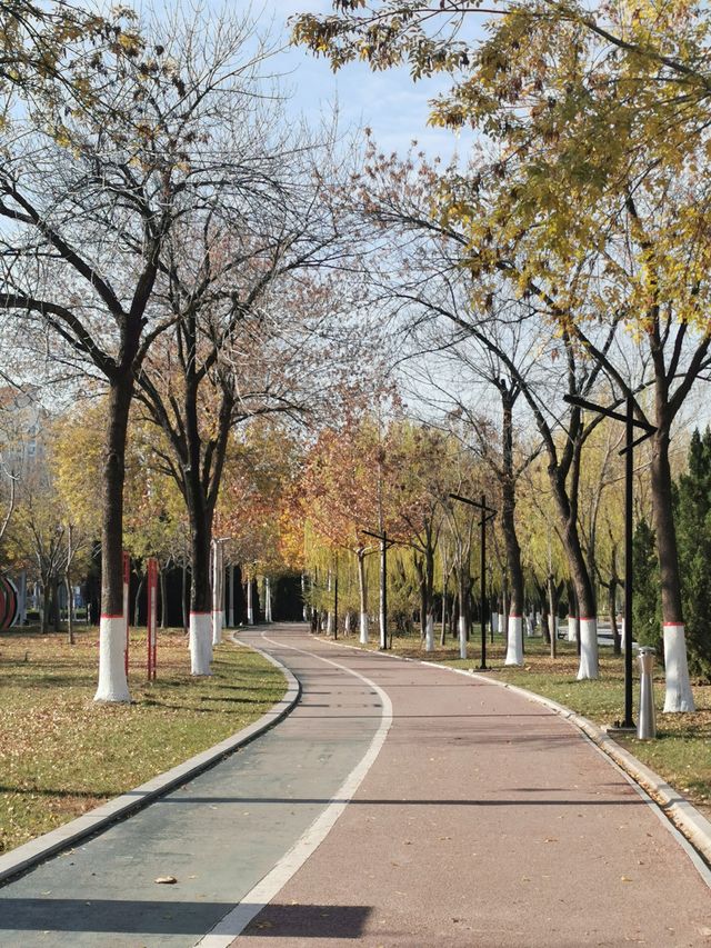 【山東省德州市】長河公園。
