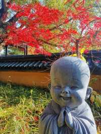 擁有千年古銀杏的能仁寺