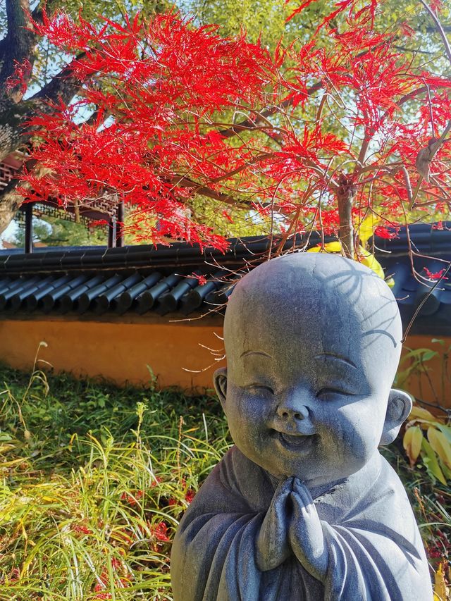 擁有千年古銀杏的能仁寺