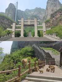 五龍口風景區,以獼猴溫泉為特色山岳型景區