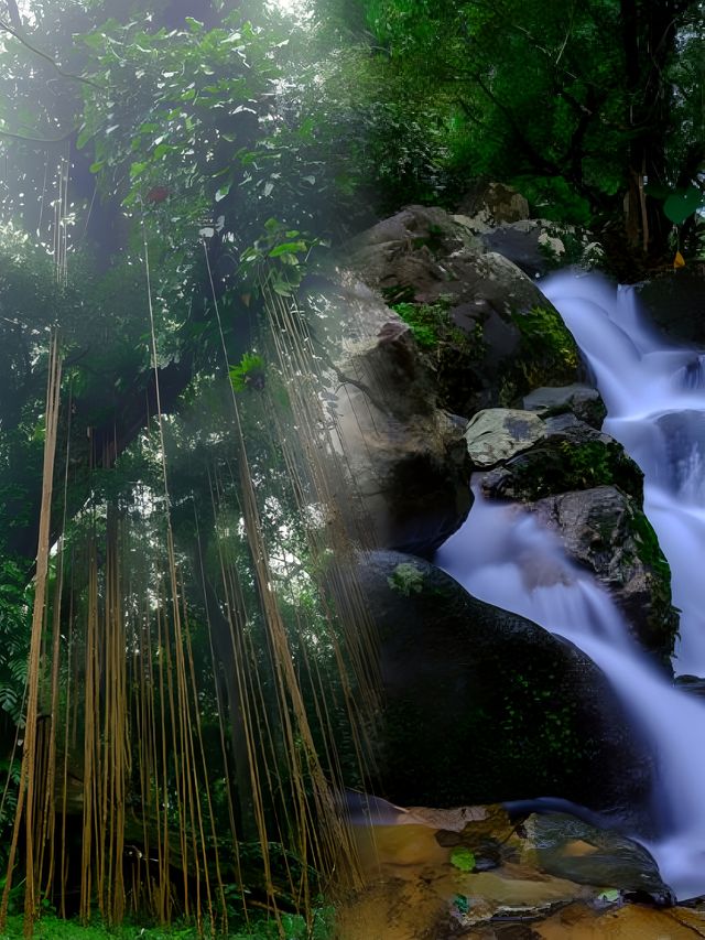 瓊島中行-百花嶺熱帶雨林|||