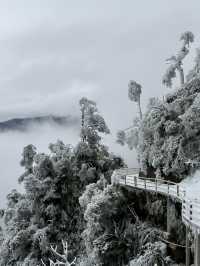 廣州周邊想看雪賞霧淞？來這裡就對了！