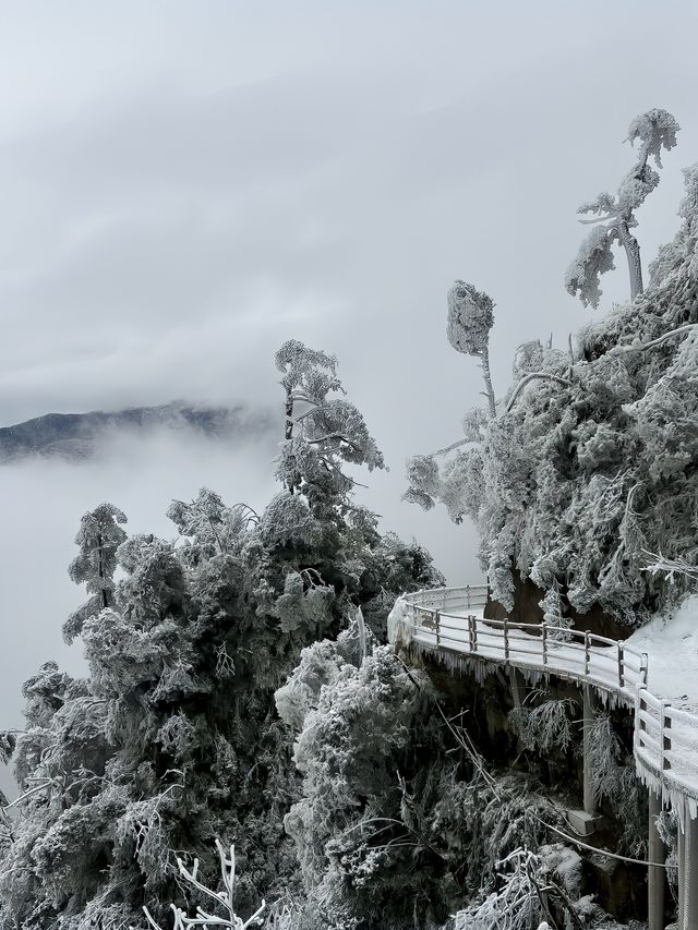 廣州周邊想看雪賞霧淞？來這裡就對了！
