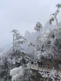 親子遊必去！離廣州1.5個鐘頭車程嘅冰雪童話世界