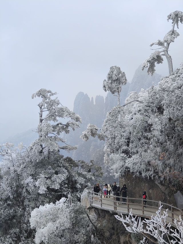 親子遊必去！離廣州1.5個鐘頭車程嘅冰雪童話世界