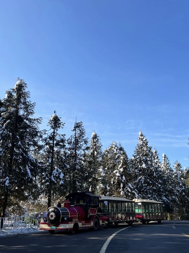 仙女山·在雪舞的世界，感受仙女山的純白童話