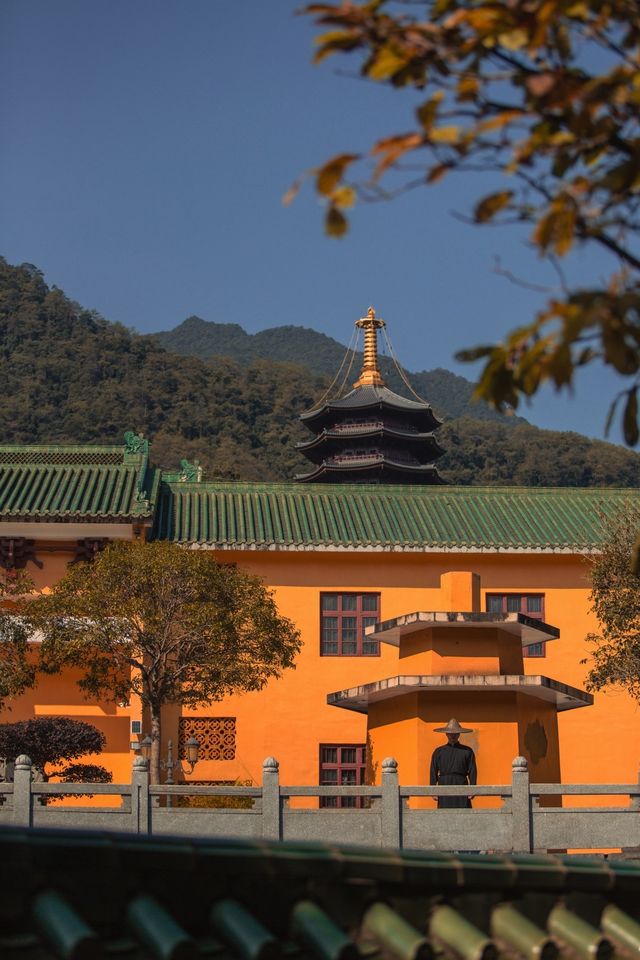 韶關雲門寺旅行攻略，禪宗名剎的靜心之旅