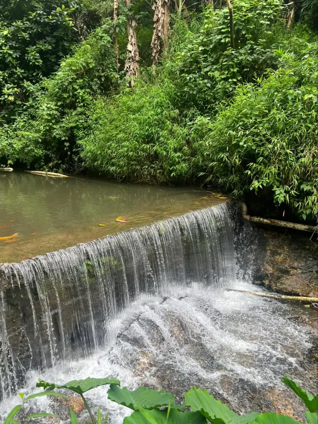 A hidden gem in the world