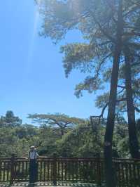 登高望遠大明山